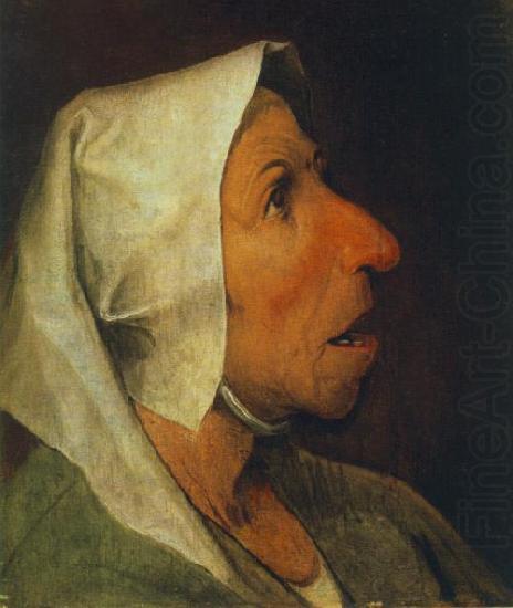 Portrait of an Old Woman  gfhgf, BRUEGEL, Pieter the Elder